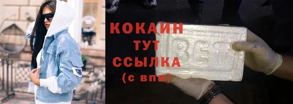 ПСИЛОЦИБИНОВЫЕ ГРИБЫ Верея